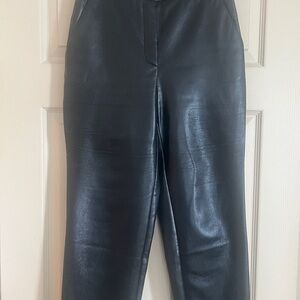 Aritzia Black Leather Pants